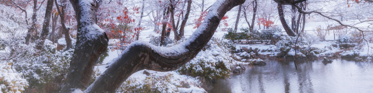 川崎市登戸の相続税・資産税に強い税理士事務所です