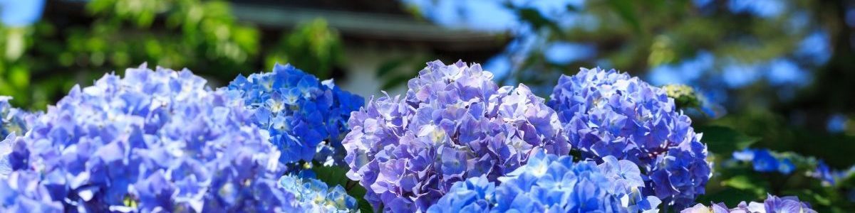 お気軽にお問い合わせください