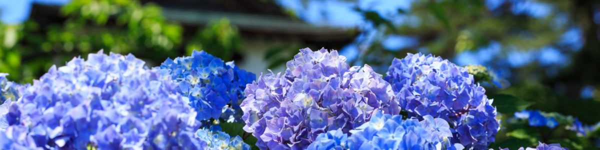 川崎市登戸の相続税・資産税に強い税理士事務所です