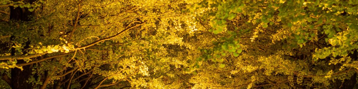 相続対策シミュレーションサービスを行っています