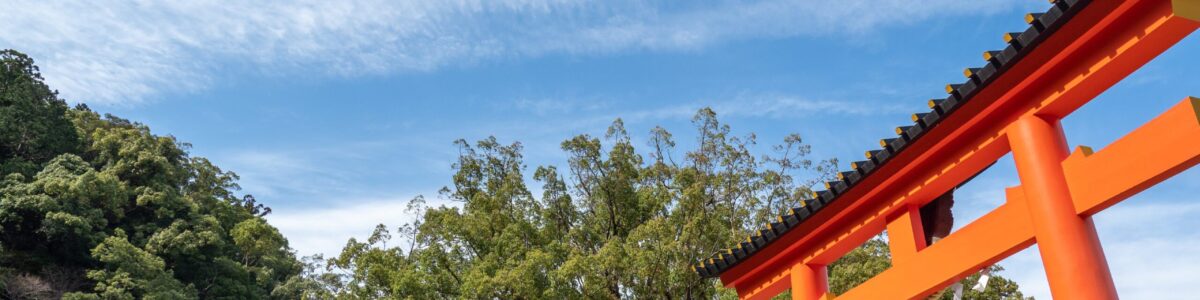 相続対策シミュレーションサービスを行っています