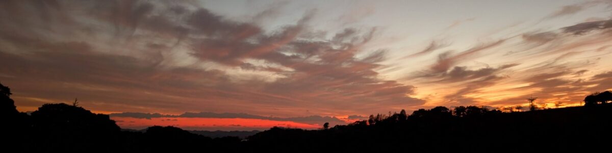 川崎市登戸の相続税・資産税に強い税理士事務所です